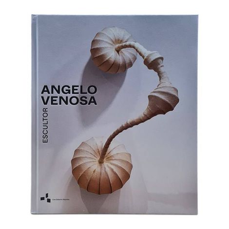 Livro Decorativo - Angelo Venosa Escultor